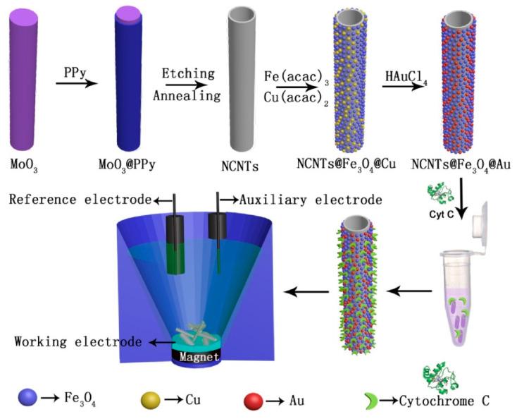 https://cdn.ncbi.nlm.nih.gov/pmc/blobs/7e88/9103167/2a7fcf63c18e/nanomaterials-12-01475-g006.jpg