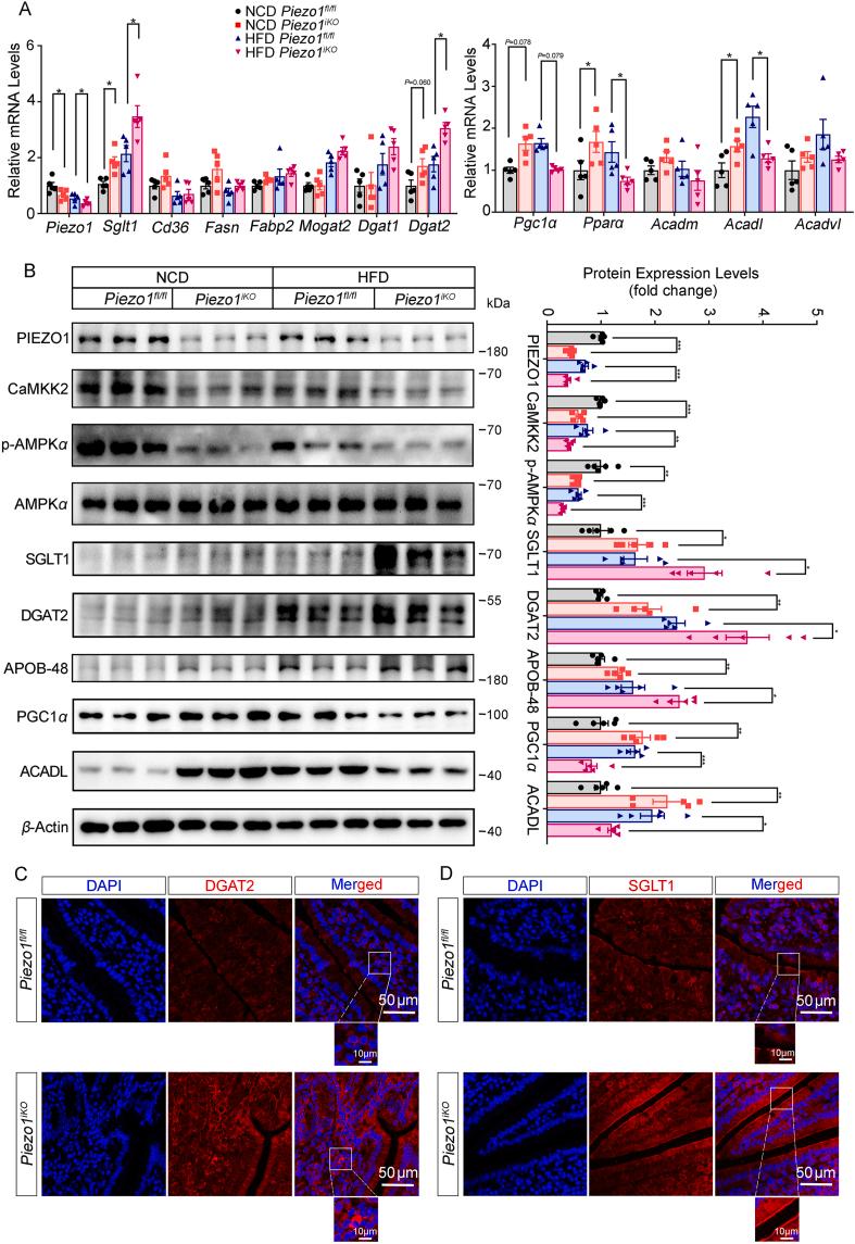 https://cdn.ncbi.nlm.nih.gov/pmc/blobs/7e8d/11365390/a5ace581480c/gr4.jpg
