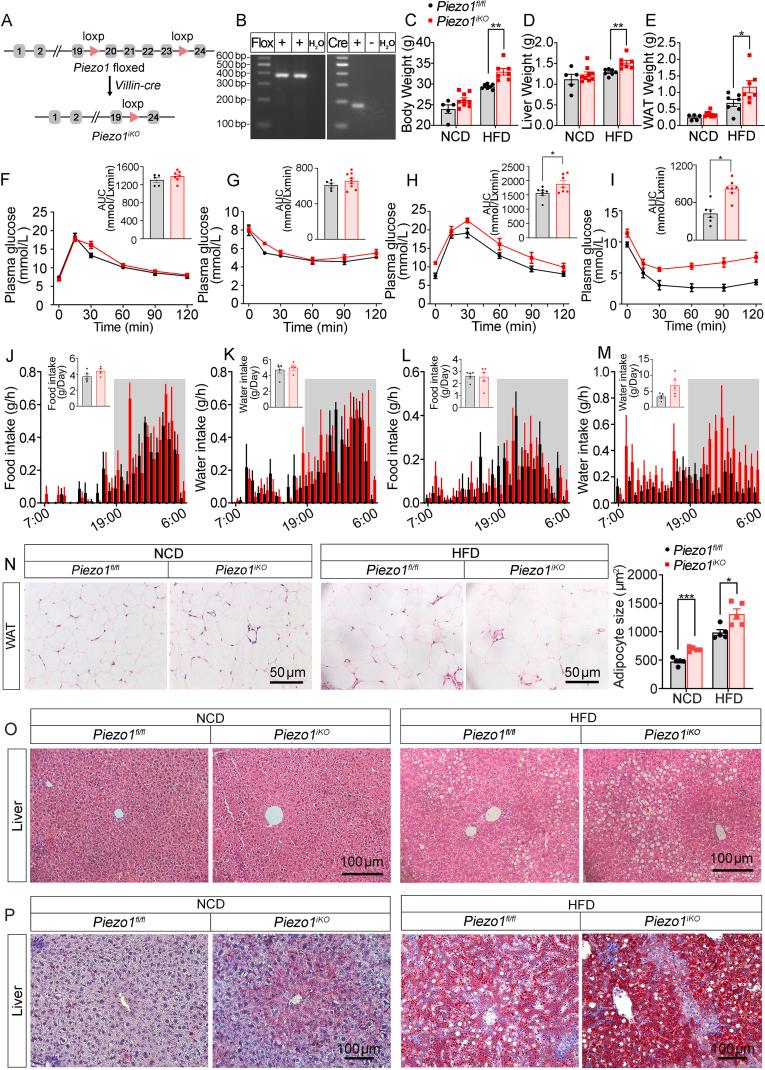 https://cdn.ncbi.nlm.nih.gov/pmc/blobs/7e8d/11365390/b56ff2195a71/gr2.jpg