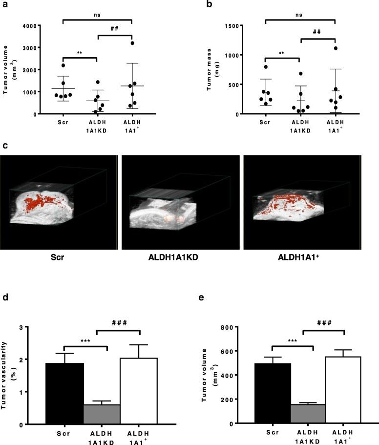 https://cdn.ncbi.nlm.nih.gov/pmc/blobs/7e92/6291966/b2c5f251d97b/13046_2018_975_Fig5_HTML.jpg
