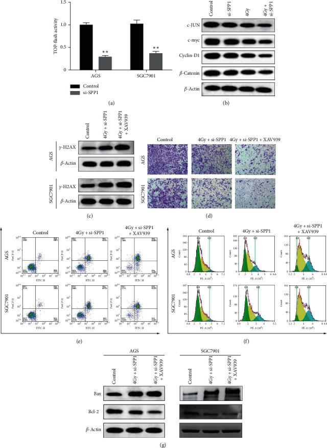 https://cdn.ncbi.nlm.nih.gov/pmc/blobs/7e96/8337119/aaecdeab8072/JO2021-1642852.003.jpg