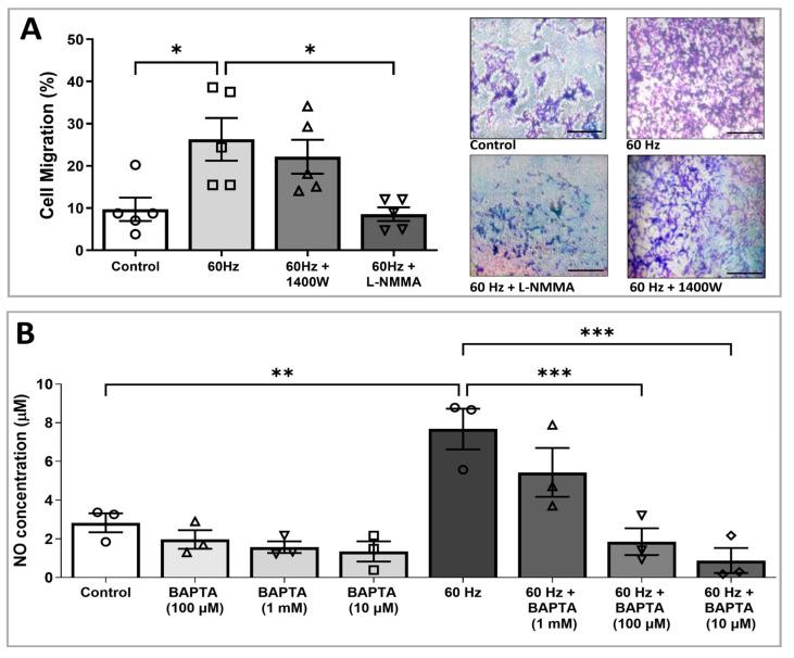 https://cdn.ncbi.nlm.nih.gov/pmc/blobs/7e98/12190604/1032ea116d26/biomedicines-13-01490-g003.jpg