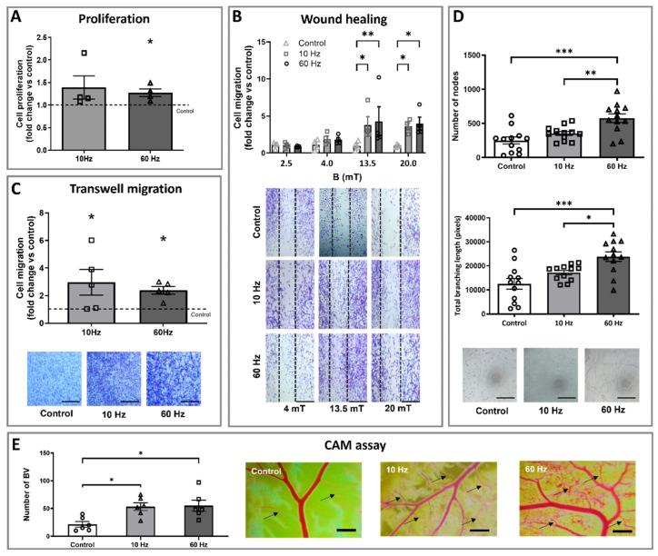 https://cdn.ncbi.nlm.nih.gov/pmc/blobs/7e98/12190604/6e55c153a63a/biomedicines-13-01490-g002.jpg