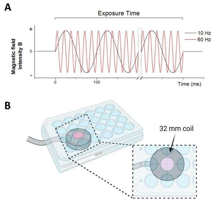 https://cdn.ncbi.nlm.nih.gov/pmc/blobs/7e98/12190604/aee7b6dc7461/biomedicines-13-01490-g001.jpg
