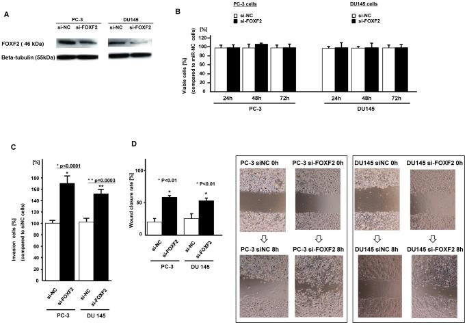 https://cdn.ncbi.nlm.nih.gov/pmc/blobs/7e98/3559583/2c5cc2741e94/pone.0055502.g007.jpg