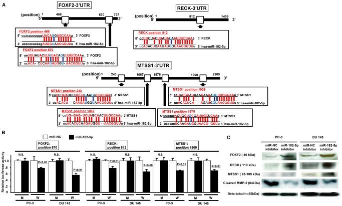 https://cdn.ncbi.nlm.nih.gov/pmc/blobs/7e98/3559583/80de88a96cde/pone.0055502.g004.jpg