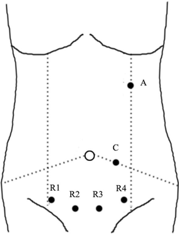https://cdn.ncbi.nlm.nih.gov/pmc/blobs/7e98/8184527/1d1d85df1995/13304_2020_969_Fig2_HTML.jpg