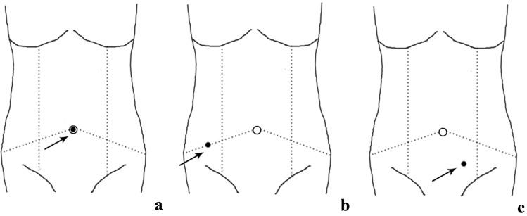 https://cdn.ncbi.nlm.nih.gov/pmc/blobs/7e98/8184527/523382d60f55/13304_2020_969_Fig3_HTML.jpg