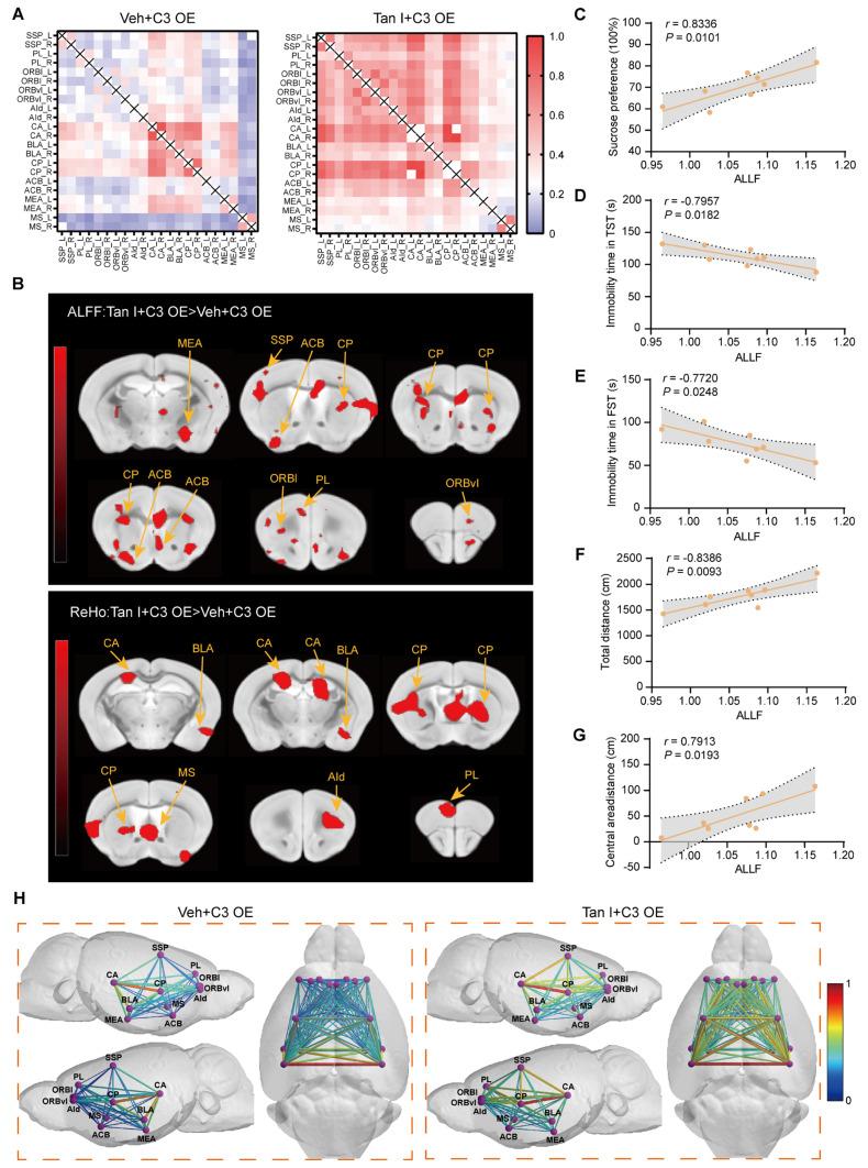 https://cdn.ncbi.nlm.nih.gov/pmc/blobs/7e99/12374583/3cb169fcaf90/thnov15p8150g008.jpg