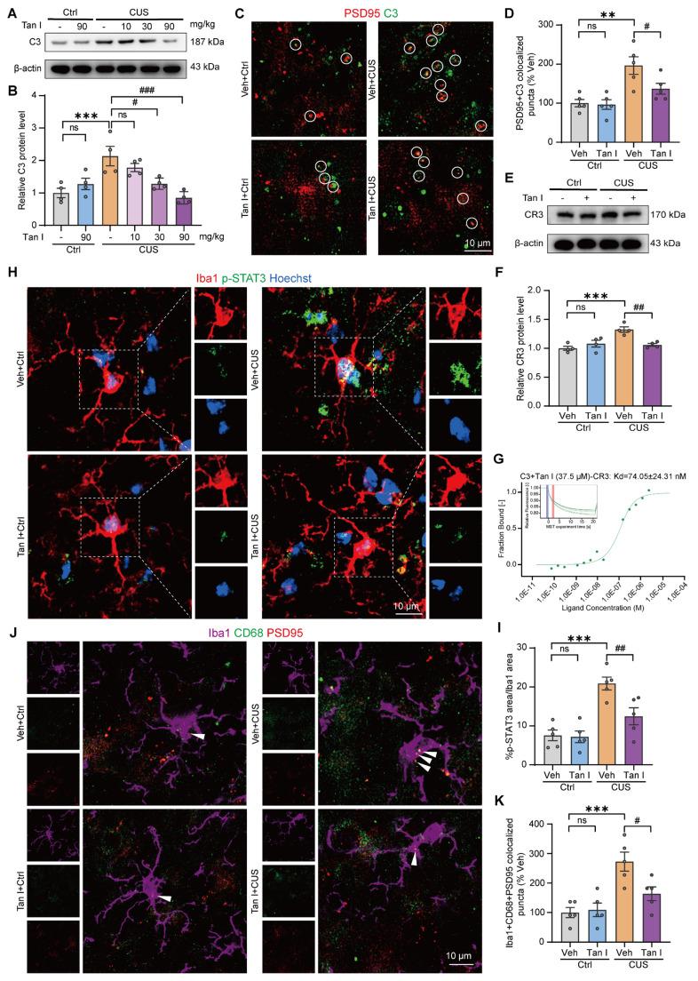 https://cdn.ncbi.nlm.nih.gov/pmc/blobs/7e99/12374583/585a67f81d05/thnov15p8150g005.jpg