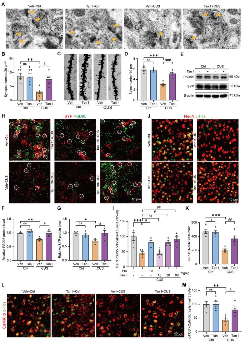 https://cdn.ncbi.nlm.nih.gov/pmc/blobs/7e99/12374583/980a3da81793/thnov15p8150g002.jpg