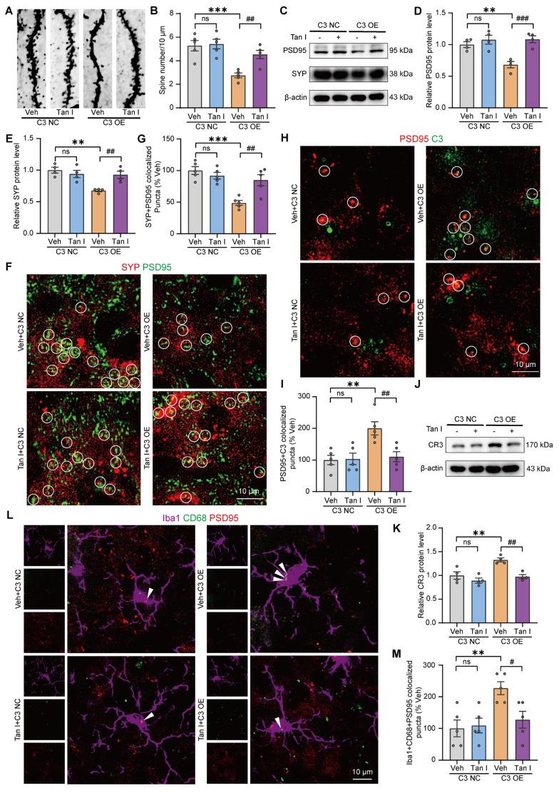 https://cdn.ncbi.nlm.nih.gov/pmc/blobs/7e99/12374583/9ab08feebddc/thnov15p8150g007.jpg