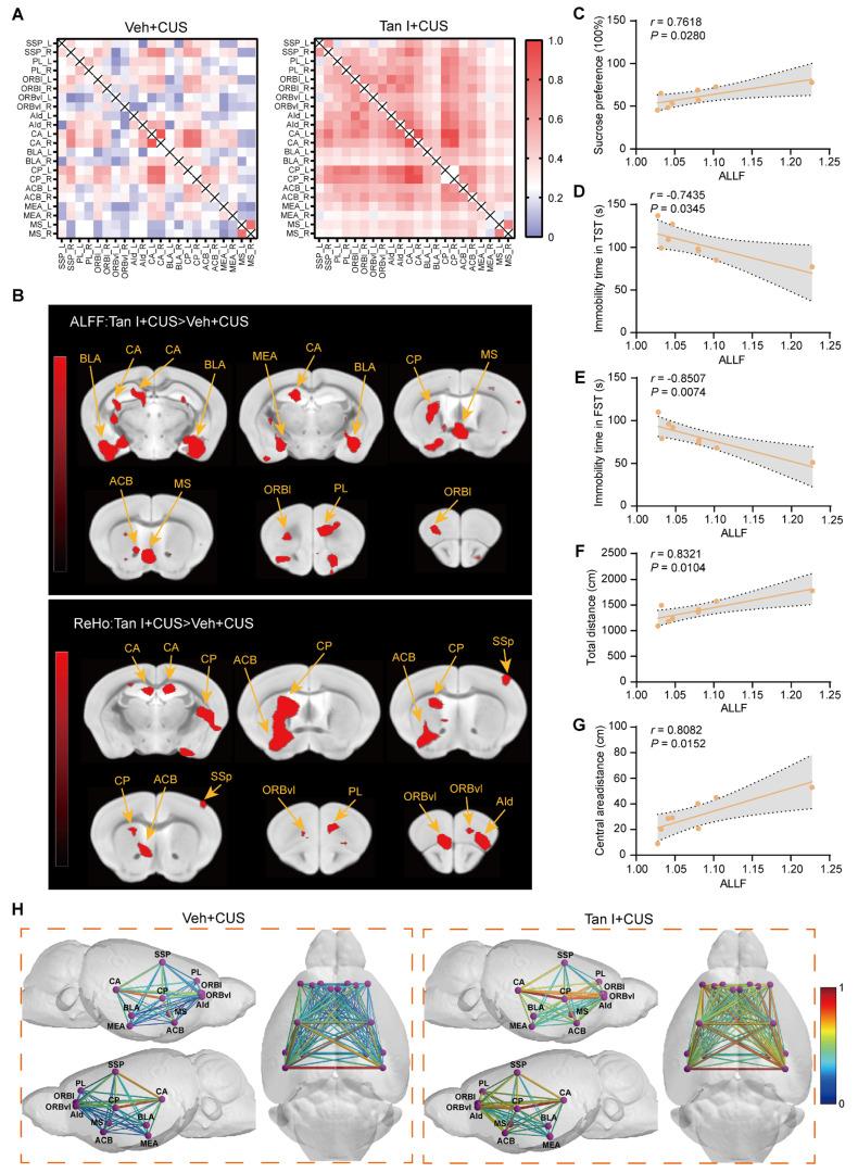 https://cdn.ncbi.nlm.nih.gov/pmc/blobs/7e99/12374583/ac598b7a54c5/thnov15p8150g006.jpg
