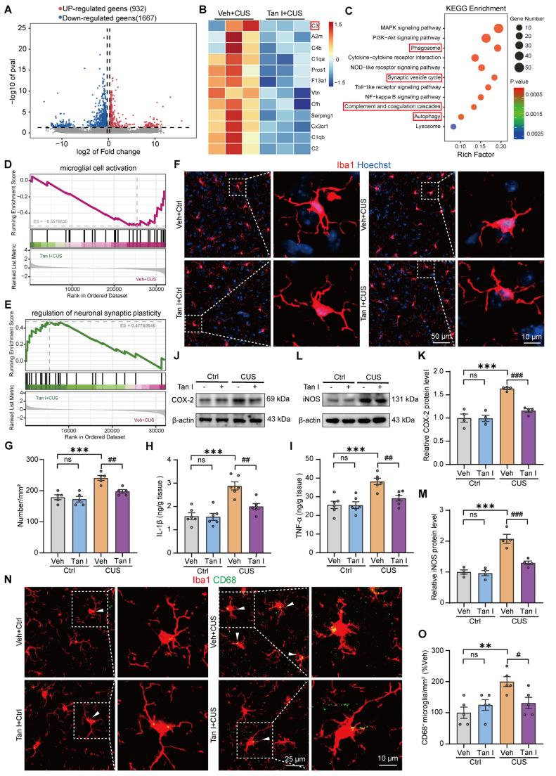https://cdn.ncbi.nlm.nih.gov/pmc/blobs/7e99/12374583/cf3f74c9d769/thnov15p8150g003.jpg