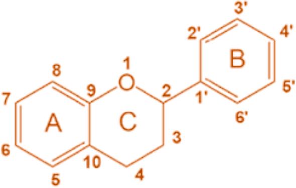 https://cdn.ncbi.nlm.nih.gov/pmc/blobs/7e9c/9763769/52c1830a1046/gr13.jpg