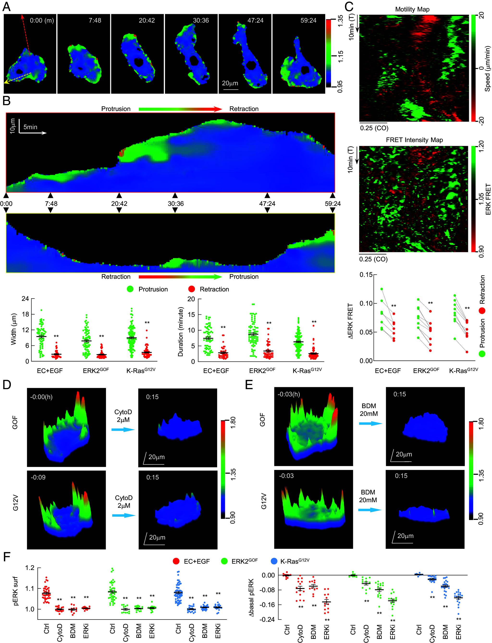 https://cdn.ncbi.nlm.nih.gov/pmc/blobs/7e9d/11665884/d4bdff8fd2c9/pnas.2318871121fig04.jpg