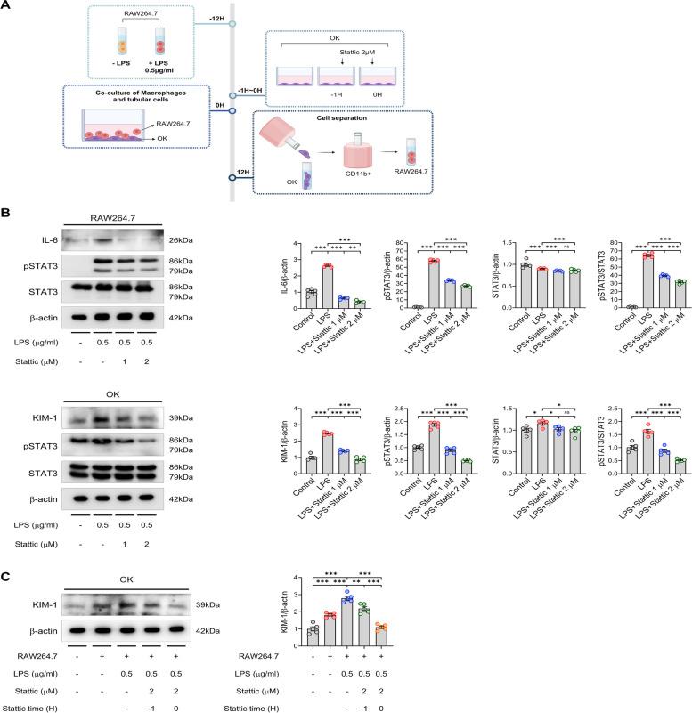 https://cdn.ncbi.nlm.nih.gov/pmc/blobs/7ea1/11453053/0576752681e0/12964_2024_1841_Fig6_HTML.jpg