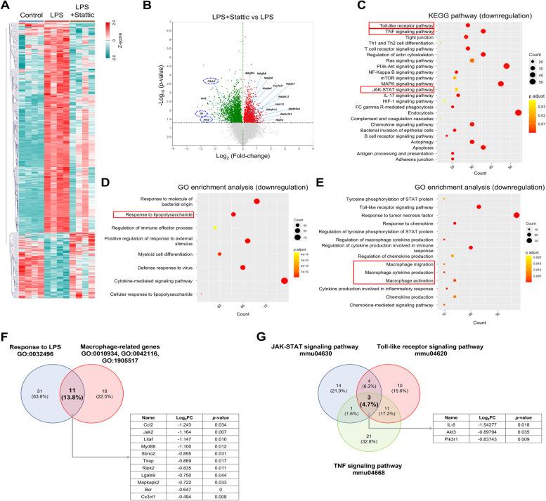https://cdn.ncbi.nlm.nih.gov/pmc/blobs/7ea1/11453053/3fdf47d8f997/12964_2024_1841_Fig3a_HTML.jpg