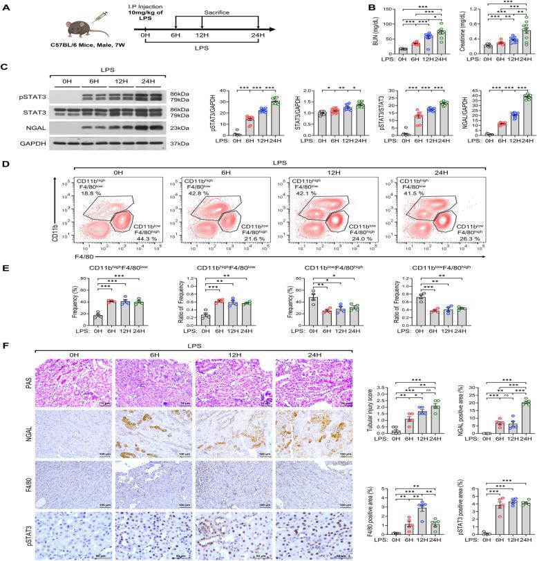 https://cdn.ncbi.nlm.nih.gov/pmc/blobs/7ea1/11453053/9a6dd561c5e4/12964_2024_1841_Fig1_HTML.jpg