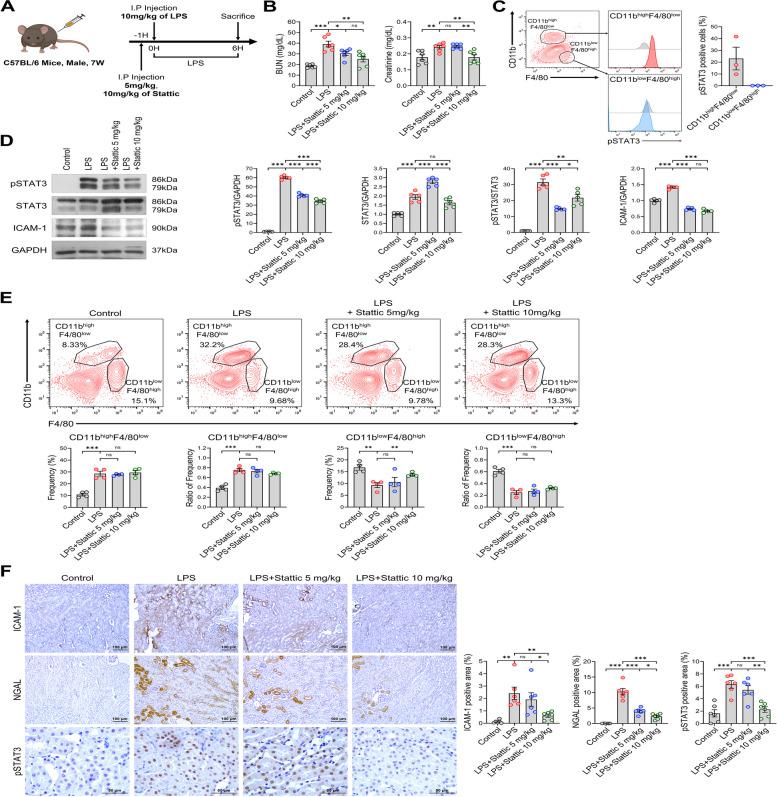https://cdn.ncbi.nlm.nih.gov/pmc/blobs/7ea1/11453053/ec63d542a45f/12964_2024_1841_Fig2_HTML.jpg