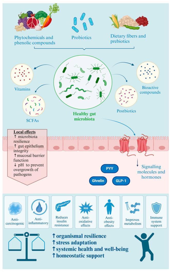 https://cdn.ncbi.nlm.nih.gov/pmc/blobs/7ea2/10930422/ce86d4cbb970/foods-13-00739-g003.jpg