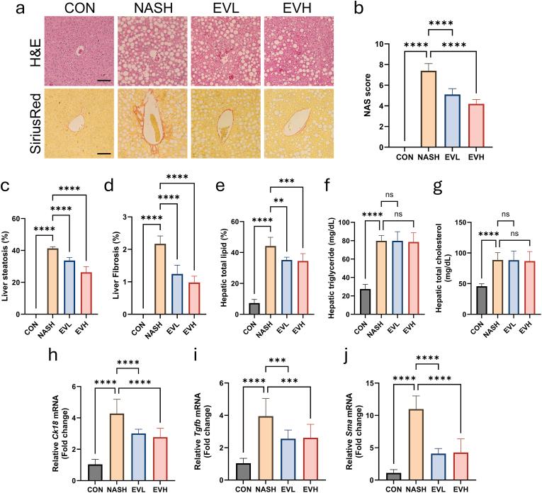 https://cdn.ncbi.nlm.nih.gov/pmc/blobs/7ea2/11995039/74a047cc7510/gr2.jpg