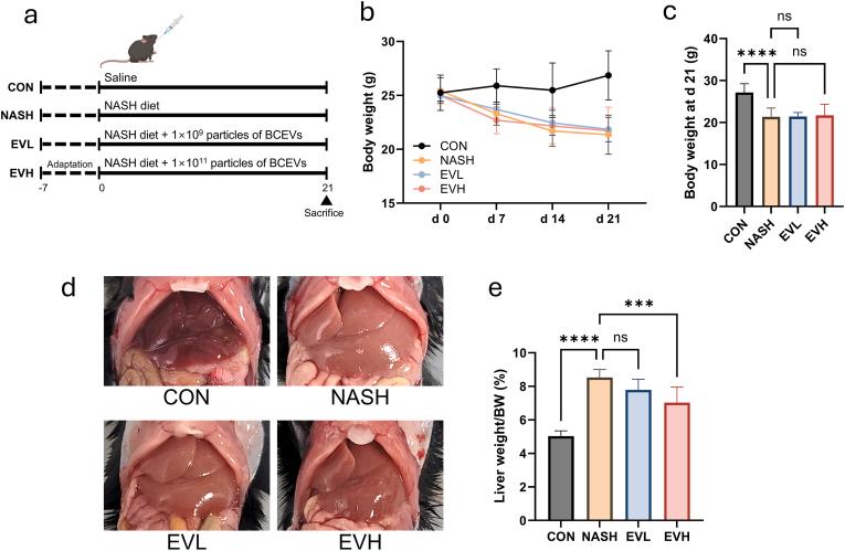 https://cdn.ncbi.nlm.nih.gov/pmc/blobs/7ea2/11995039/ff96d56e9fa8/gr1.jpg