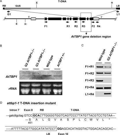https://cdn.ncbi.nlm.nih.gov/pmc/blobs/7ea2/1851659/4ec1cfd26553/gkm043f1.jpg