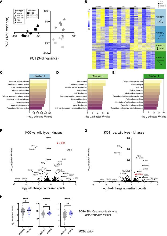 https://cdn.ncbi.nlm.nih.gov/pmc/blobs/7ea3/11159048/fd50dd12ec1a/fonc-14-1191217-g003.jpg