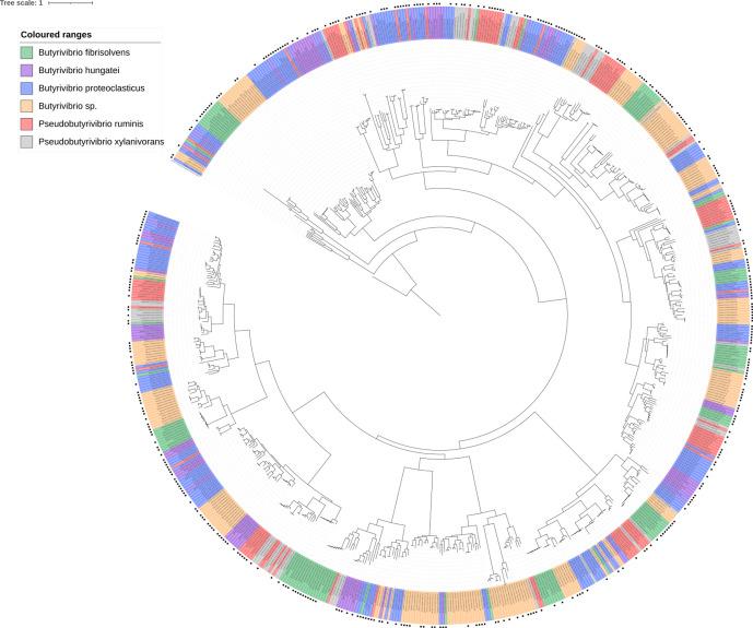 https://cdn.ncbi.nlm.nih.gov/pmc/blobs/7ea3/8627218/7b3d762e666a/mgen-7-0638-g008.jpg