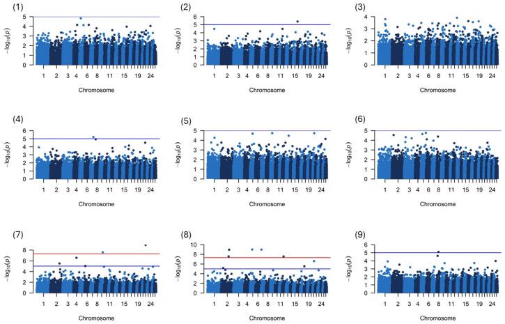 https://cdn.ncbi.nlm.nih.gov/pmc/blobs/7ea4/11728008/b2f7e10a64e3/genes-15-01549-g002.jpg