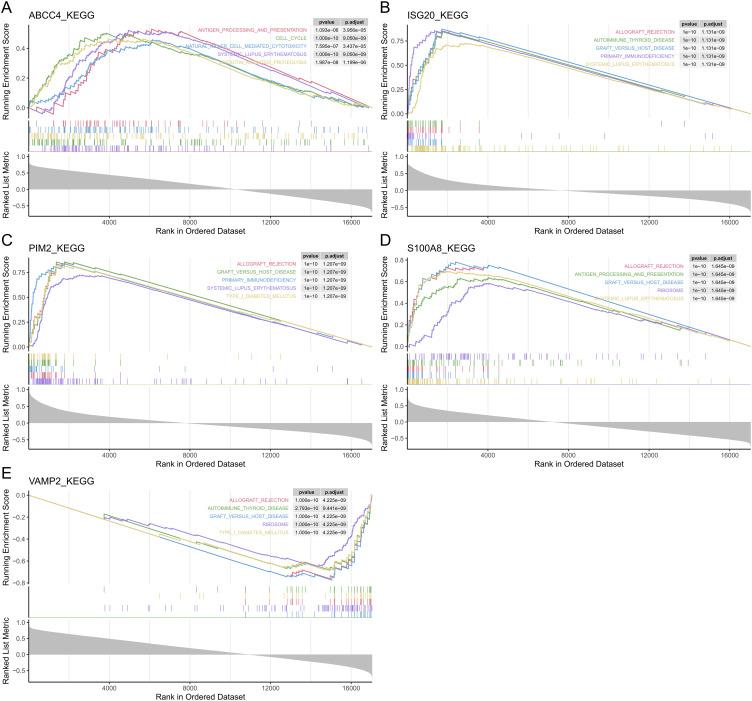 https://cdn.ncbi.nlm.nih.gov/pmc/blobs/7ea5/12137363/2052f095ba58/fimmu-16-1585895-g004.jpg