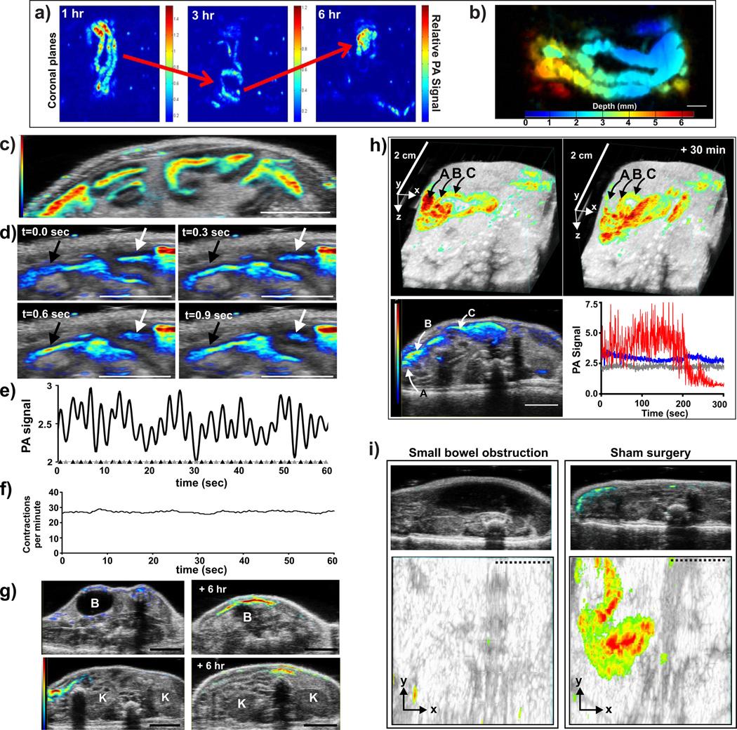 https://cdn.ncbi.nlm.nih.gov/pmc/blobs/7ea5/4130353/4de5d9cdf130/nihms601452f5.jpg