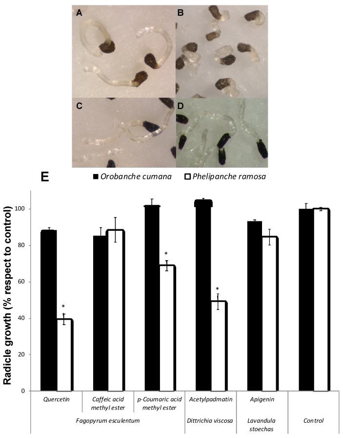 https://cdn.ncbi.nlm.nih.gov/pmc/blobs/7ea5/8001586/37cae8fda5db/plants-10-00543-g003.jpg