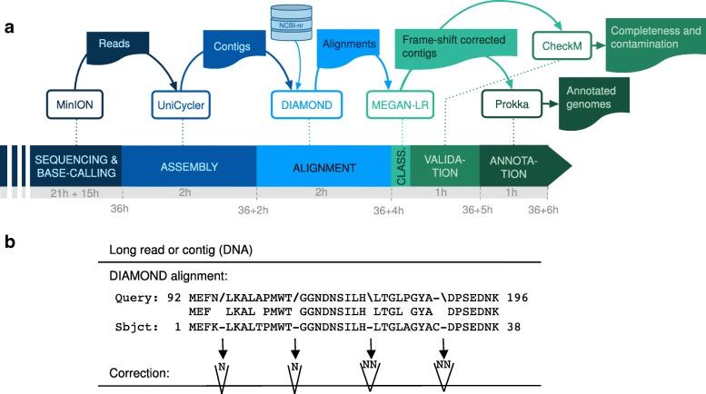 https://cdn.ncbi.nlm.nih.gov/pmc/blobs/7eaa/6469205/a67e759f2c73/40168_2019_665_Fig2_HTML.jpg