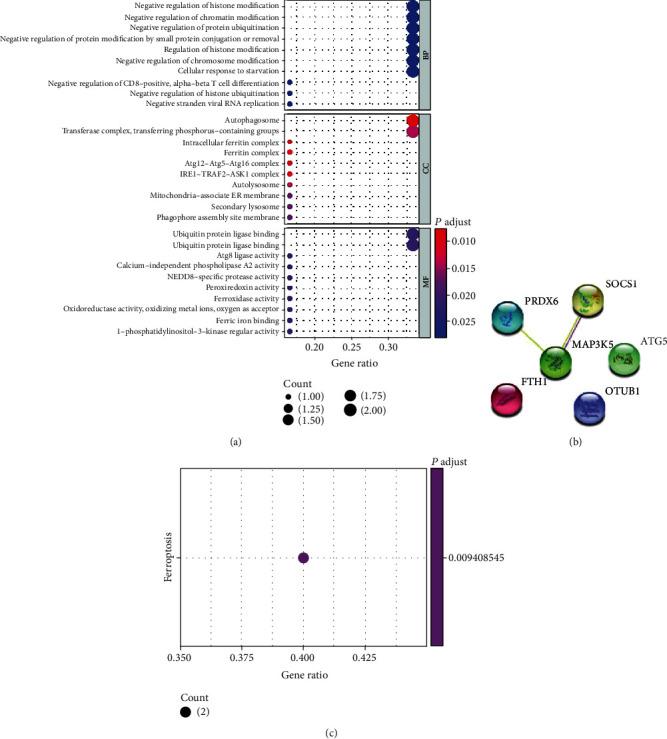 https://cdn.ncbi.nlm.nih.gov/pmc/blobs/7eab/8629675/311bbf449e0f/DM2021-5759927.008.jpg