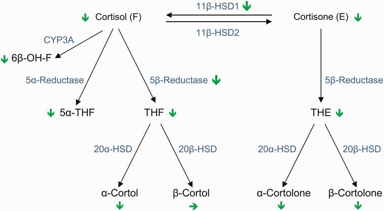 https://cdn.ncbi.nlm.nih.gov/pmc/blobs/7ead/7947853/8ea47fbca063/dgaa862_fig1.jpg