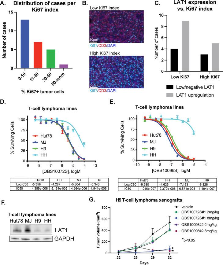 https://cdn.ncbi.nlm.nih.gov/pmc/blobs/7eae/10772281/3fef2935889f/gr2.jpg