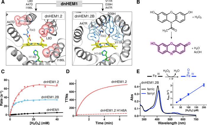 https://cdn.ncbi.nlm.nih.gov/pmc/blobs/7eaf/10326885/f0f781512e2e/ja3c02742_0005.jpg