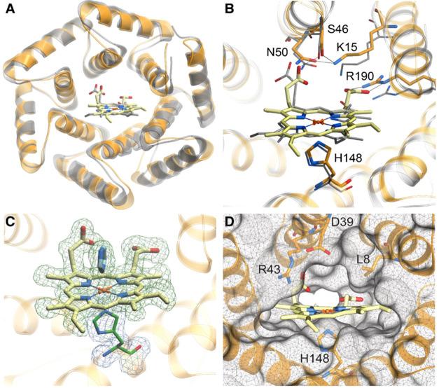 https://cdn.ncbi.nlm.nih.gov/pmc/blobs/7eaf/10326885/f1093f10b197/ja3c02742_0004.jpg
