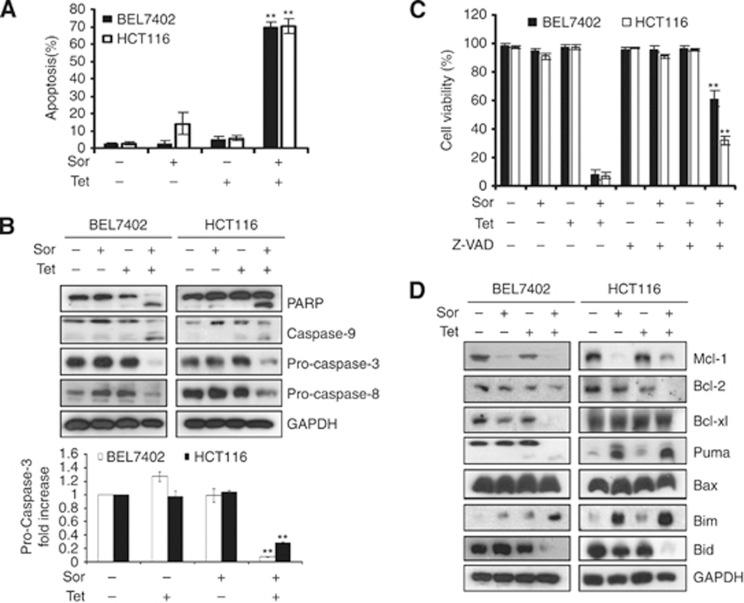 https://cdn.ncbi.nlm.nih.gov/pmc/blobs/7eaf/3721403/3a3dea1be46f/bjc2013334f2.jpg