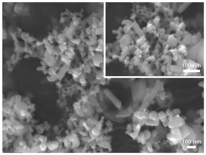 https://cdn.ncbi.nlm.nih.gov/pmc/blobs/7eb6/9919382/6deb89df1c3a/polymers-15-00529-g002.jpg