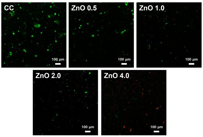 https://cdn.ncbi.nlm.nih.gov/pmc/blobs/7eb6/9919382/d5362daa3c77/polymers-15-00529-g005.jpg