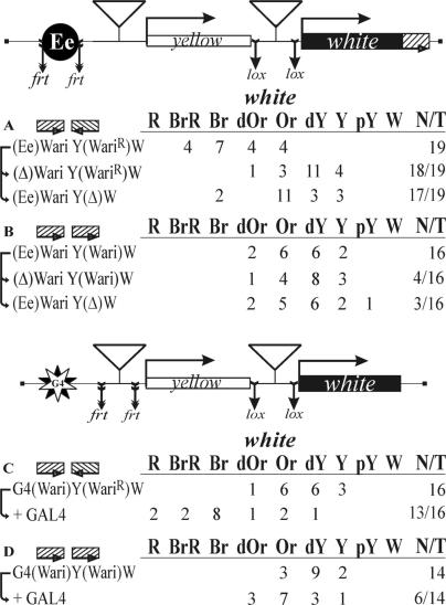https://cdn.ncbi.nlm.nih.gov/pmc/blobs/7eb8/2602758/02fbe55589d7/gkn781f4.jpg