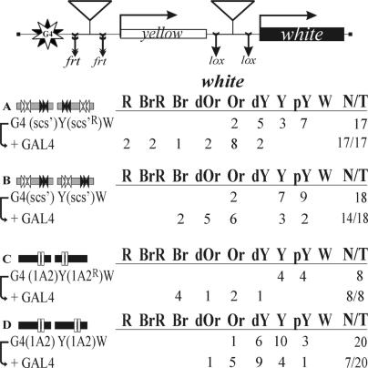https://cdn.ncbi.nlm.nih.gov/pmc/blobs/7eb8/2602758/c0ae014f61d0/gkn781f5.jpg