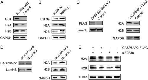 https://cdn.ncbi.nlm.nih.gov/pmc/blobs/7eba/10030168/ec220288463a/mph-45-e339-g002.jpg