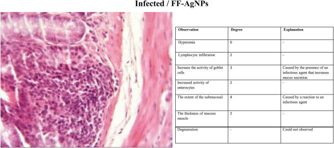 https://cdn.ncbi.nlm.nih.gov/pmc/blobs/7eba/12394428/726153973334/41598_2025_16334_Fig7_HTML.jpg
