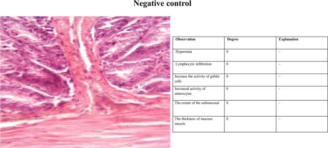 https://cdn.ncbi.nlm.nih.gov/pmc/blobs/7eba/12394428/9ae1663faacd/41598_2025_16334_Fig3_HTML.jpg