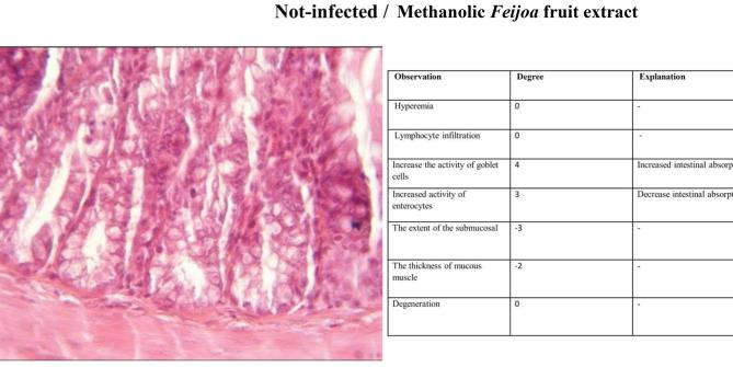 https://cdn.ncbi.nlm.nih.gov/pmc/blobs/7eba/12394428/bd20b8950d7f/41598_2025_16334_Fig5_HTML.jpg