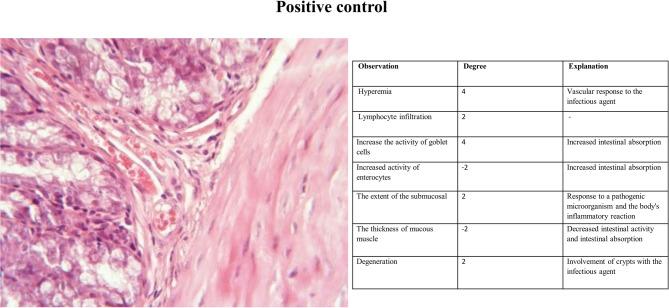 https://cdn.ncbi.nlm.nih.gov/pmc/blobs/7eba/12394428/c13beaae3208/41598_2025_16334_Fig2_HTML.jpg